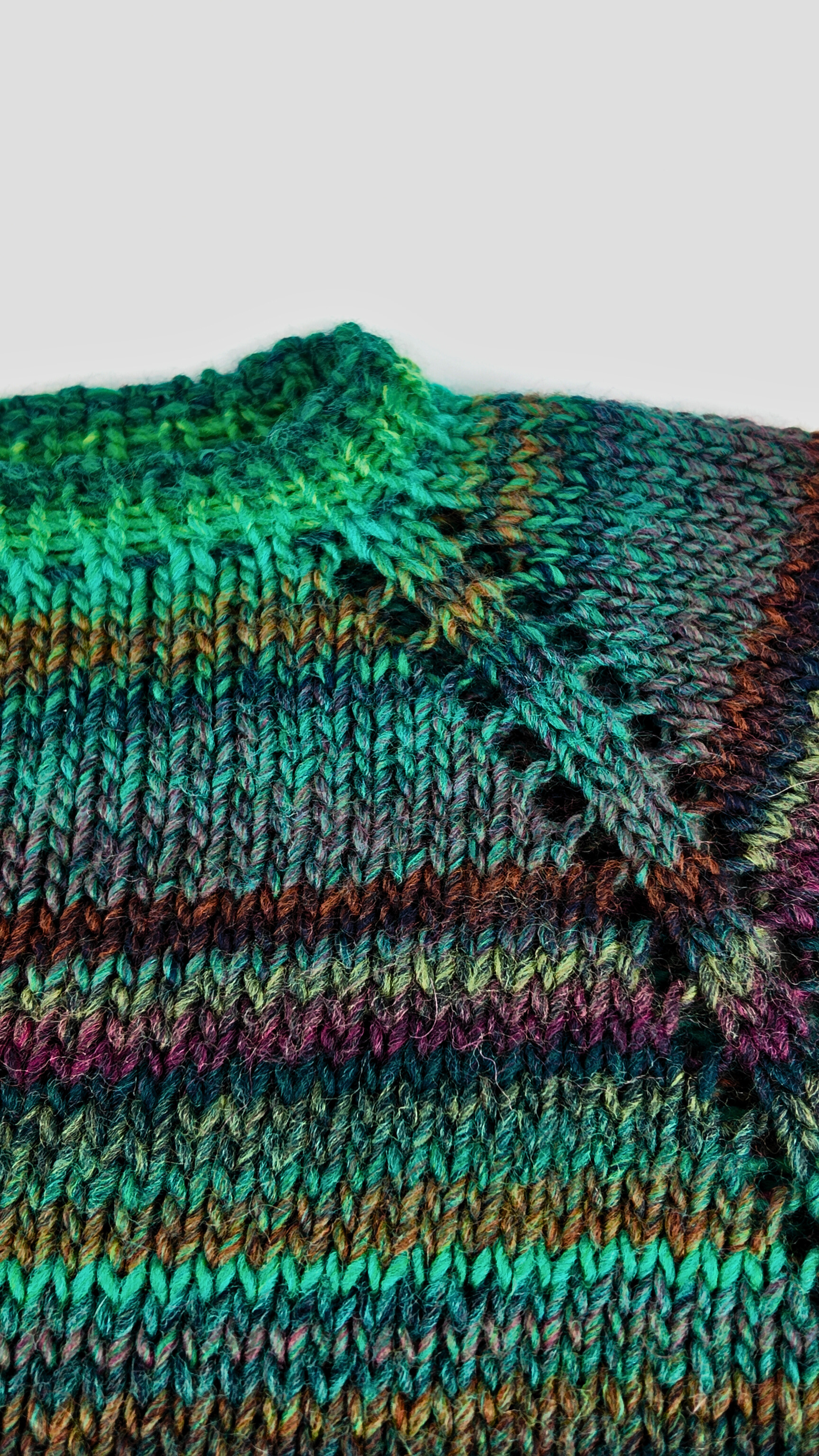 Jersey Bosque - Imagen 3