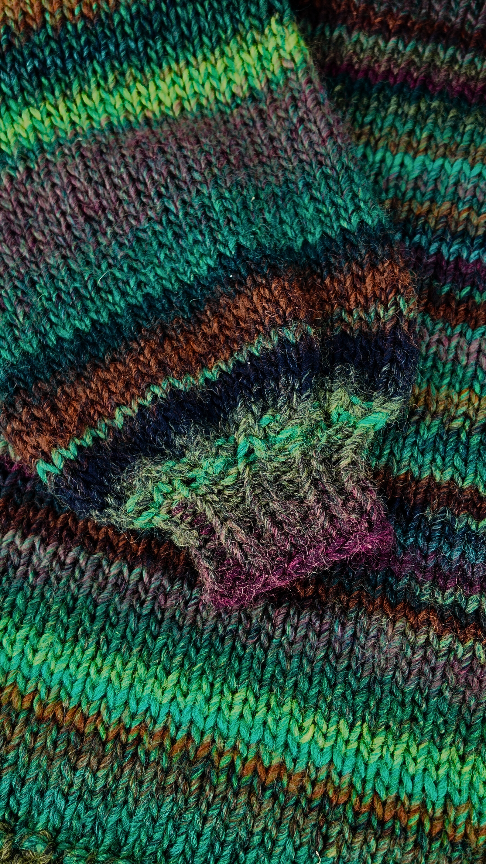 Jersey Bosque - Imagen 5